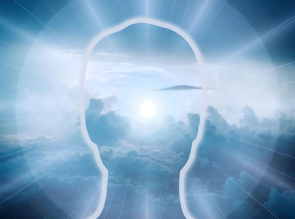 Hormonelle Regulation